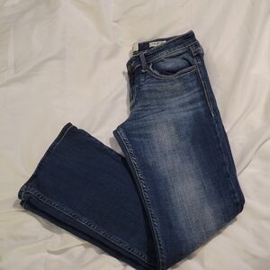 Daytrip Women's Blue Jeans